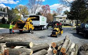 Best Hazardous Tree Removal  in Muskegon Heights, MI